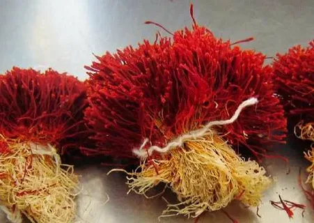 تصویر 1 از زعفران دسته مثقالی با ظاهر منظم و کیفیت مناسب